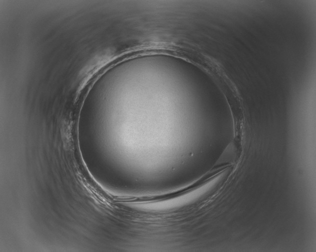 X0000085821260200703161213