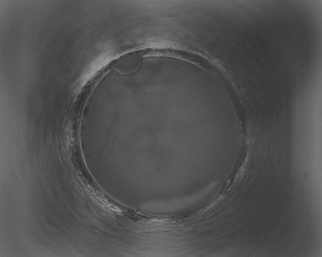 X0000085821263200703161213