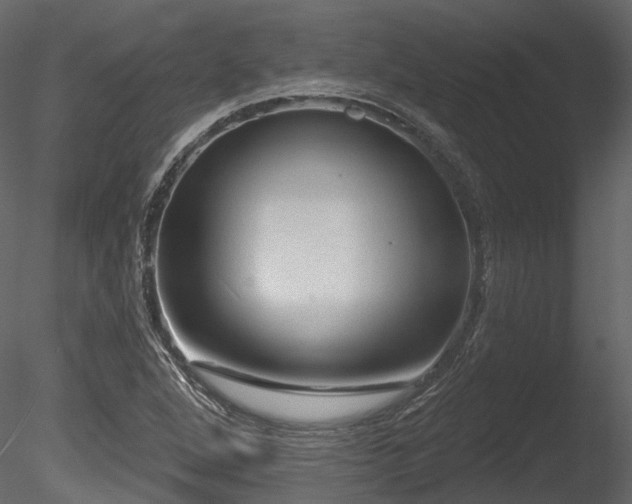 X0000085821264200703161213