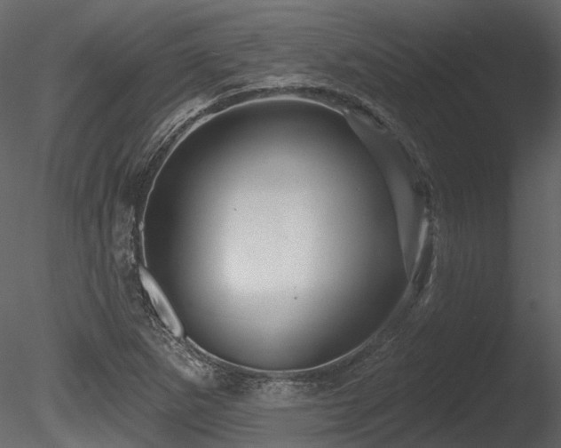 X0000085821265200703161213