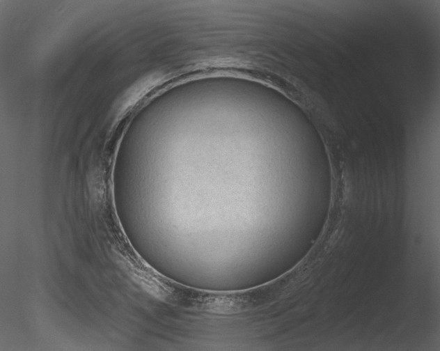 X0000085821266200703161213
