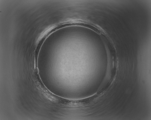 X0000085821269200703161213