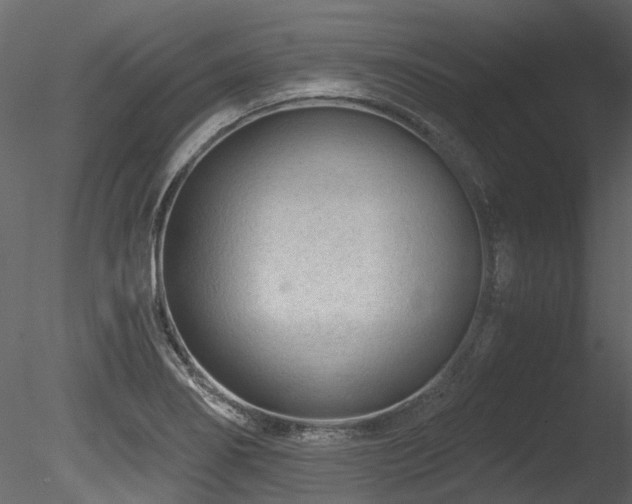 X0000085821274200703161213