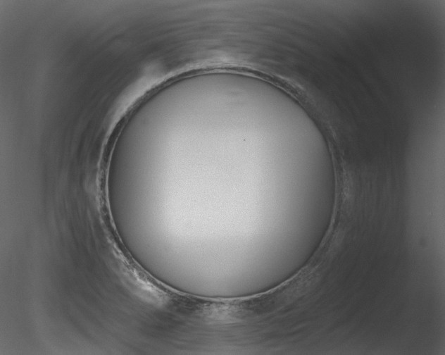 X0000085821278200703161213