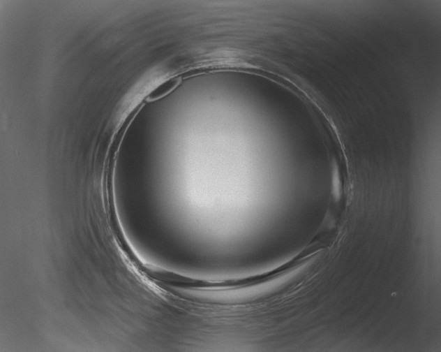 X0000085821293200703161212