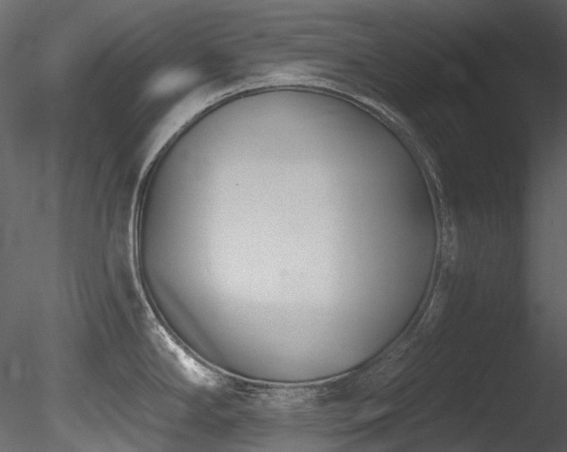 X0000085821294200703161212