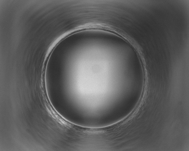 X0000085821296200703161212