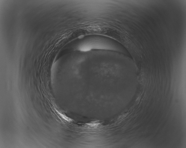 X0000085821297200703161212