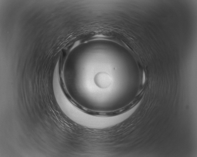 X0000085821298200703161212