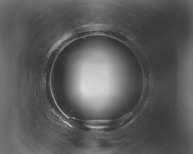 X0000085821309200703161212