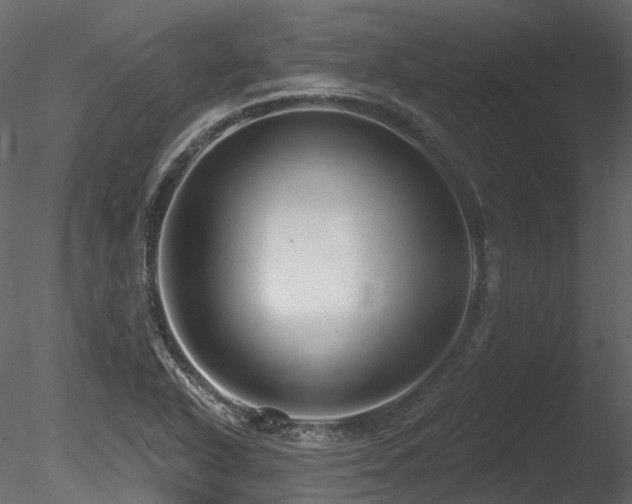 X0000085821318200703161212