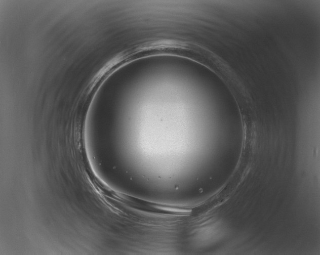 X0000085821321200703161212