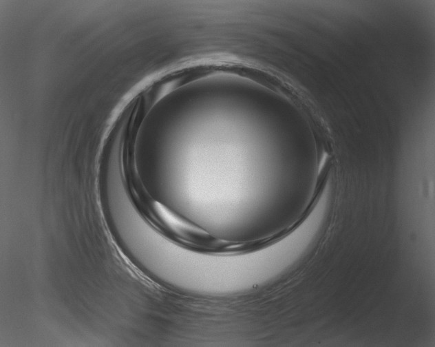 X0000085821326200703161212