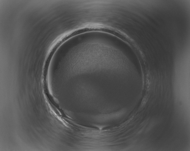 X0000085821327200703161212
