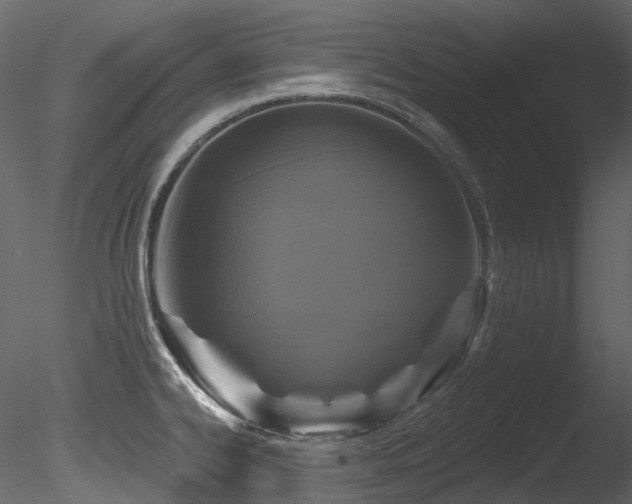 X0000085821334200703161212