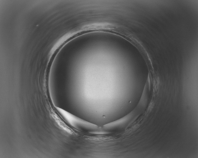 X0000085821336200703161212