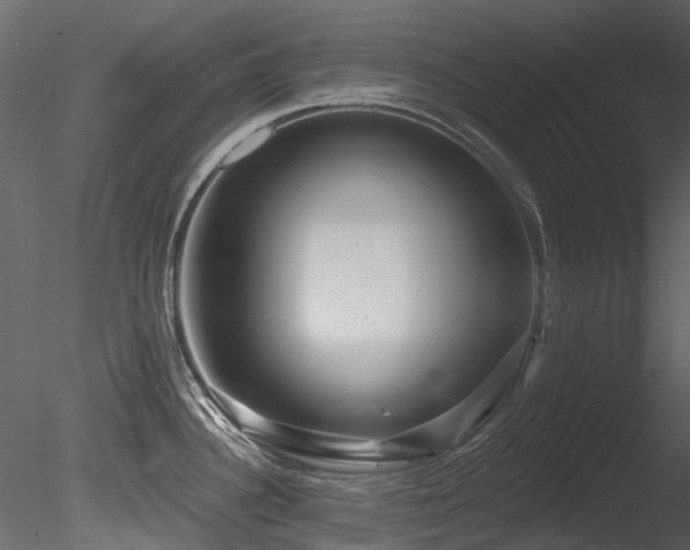 X0000085821340200703161212