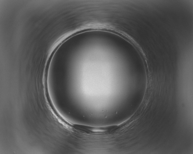 X0000085821343200703161212