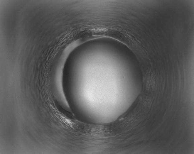 X0000085821345200703161212
