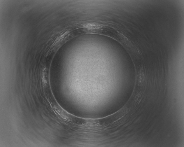X0000085821346200703161212