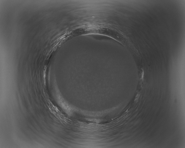 X0000085821348200703161211