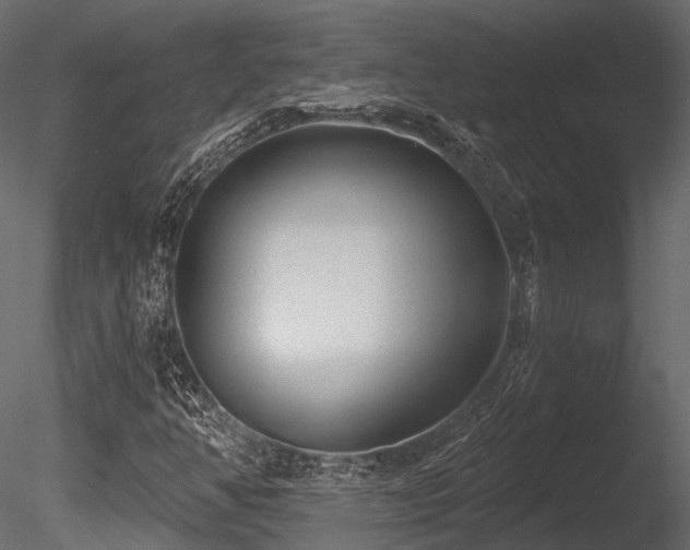 X0000085821350200703161211