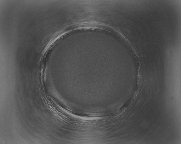 X0000085821352200703161211