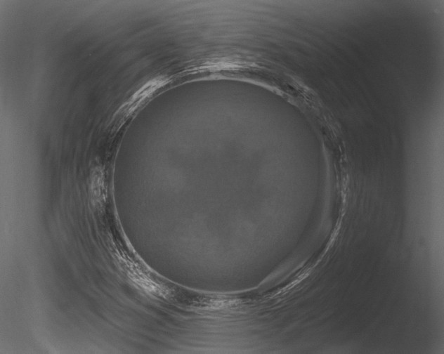 X0000085821353200703161211