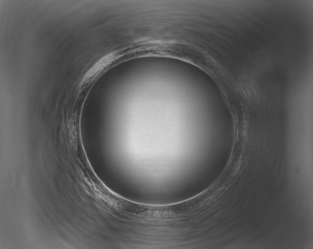 X0000085821354200703161211