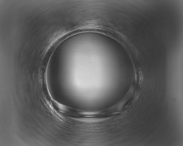 X0000085821356200703161211