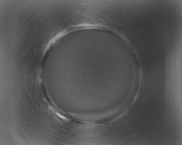 X0000085821357200703161211