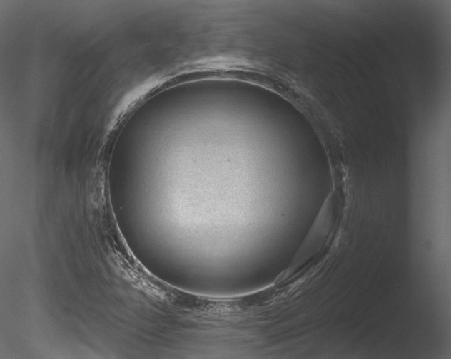 X0000085821358200703161211