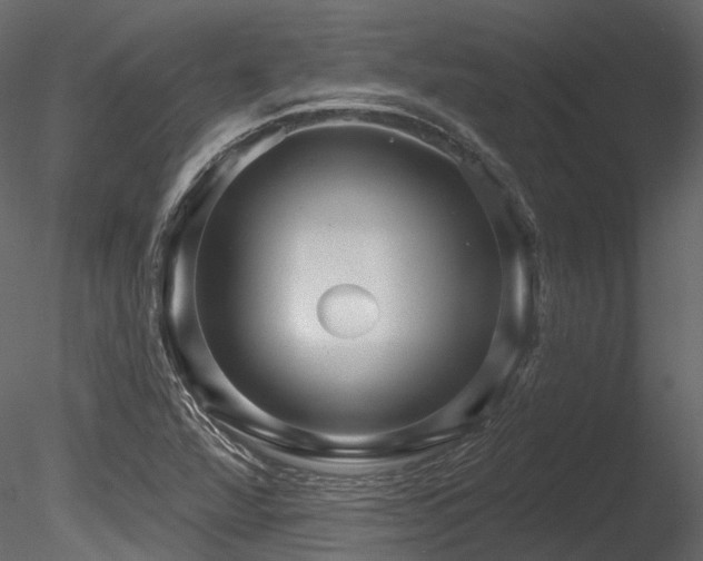 X0000085821360200703161211