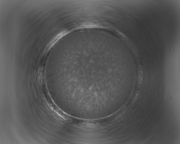 X0000085821361200703161211