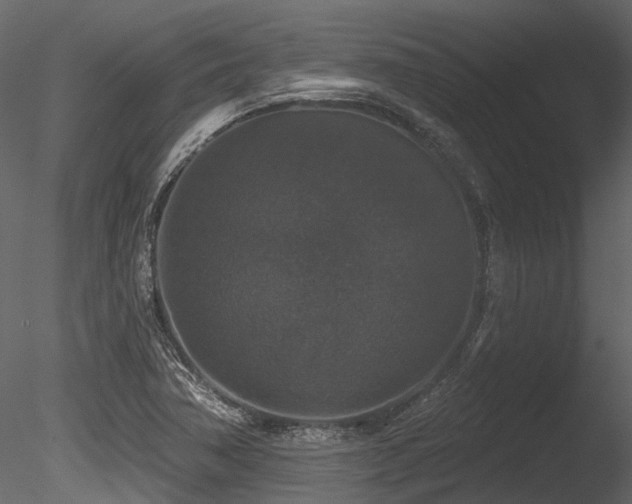 X0000085821362200703161211