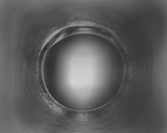X0000085821364200703161211