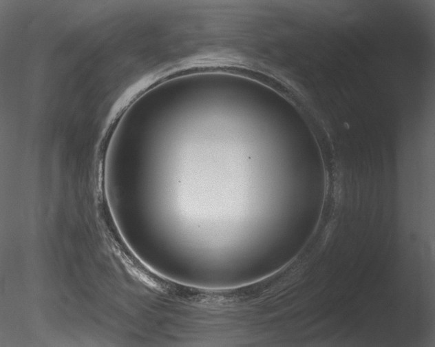 X0000085821366200703161211