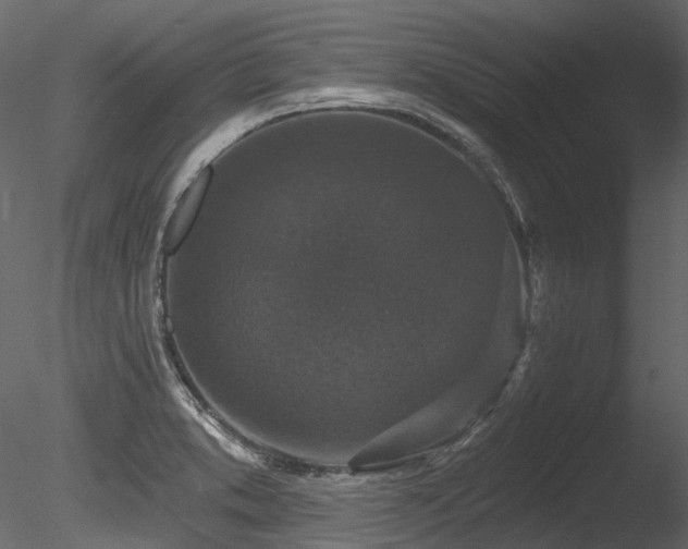 X0000085821373200703161211