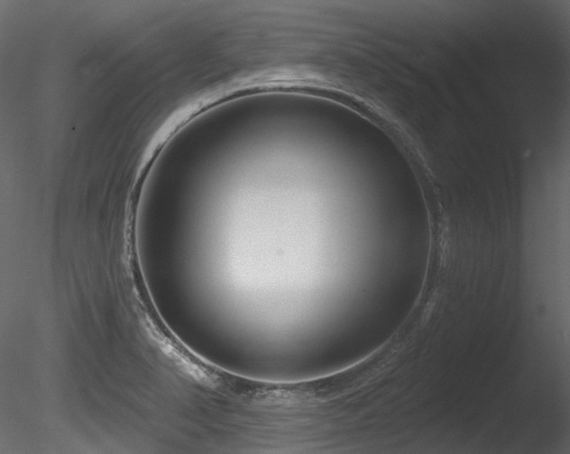 X0000085821374200703161211