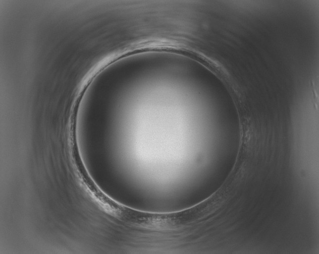 X0000085821375200703161211