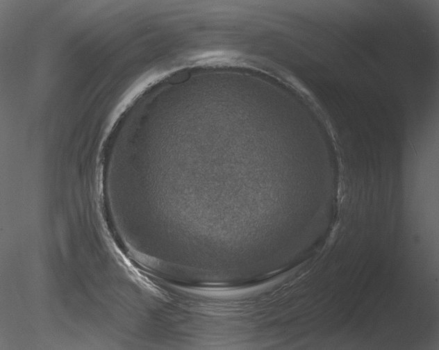 X0000085821376200703161211