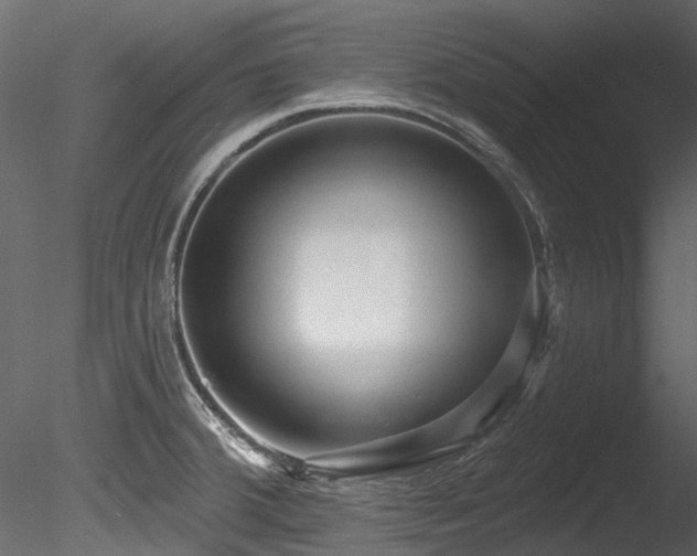 X0000085821380200703161211