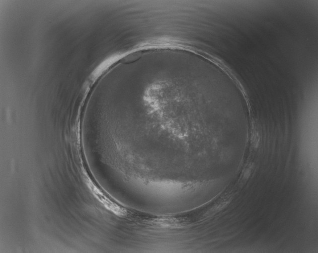 X0000085821388200703161211