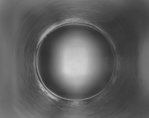 X0000085821390200703161211