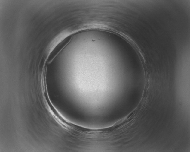 X0000085821391200703161211
