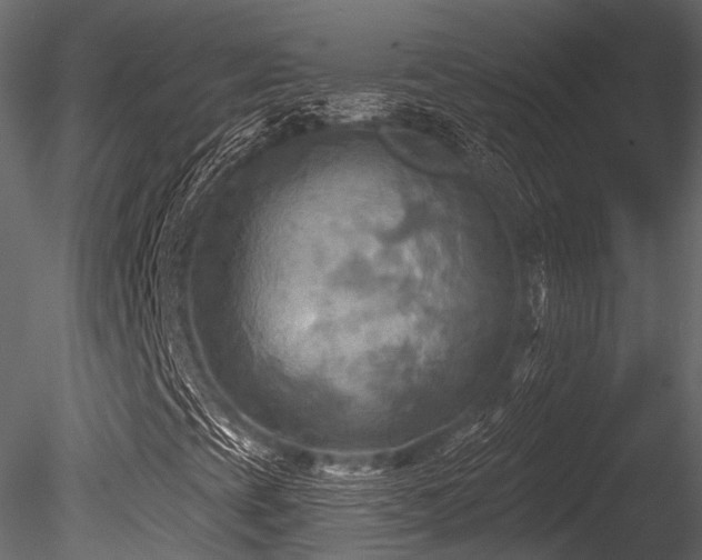 X0000085821393200703161210
