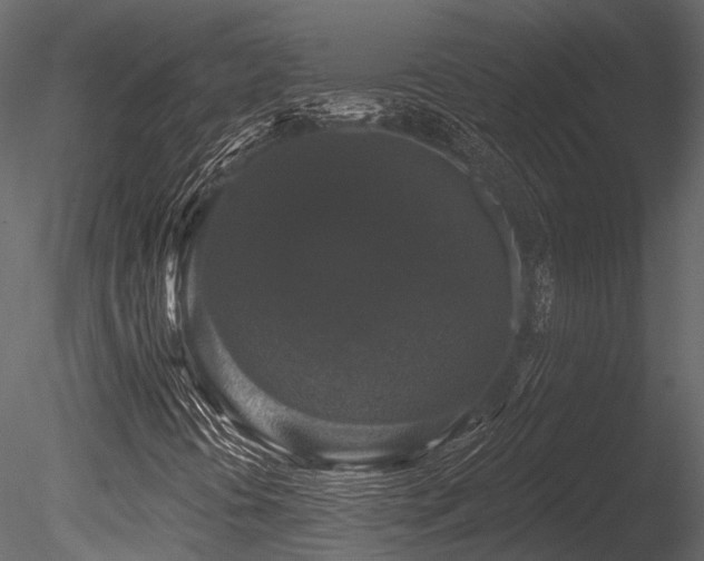 X0000085821394200703161210