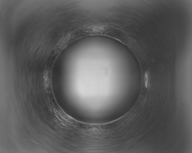 X0000085821395200703161210