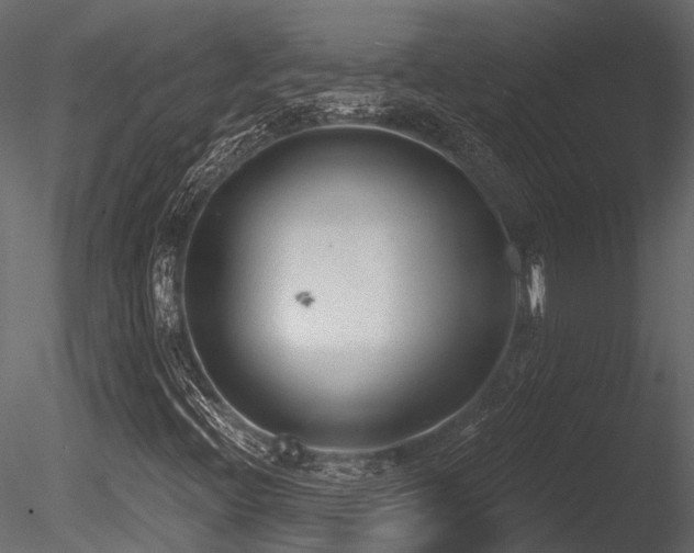 X0000085821396200703161210