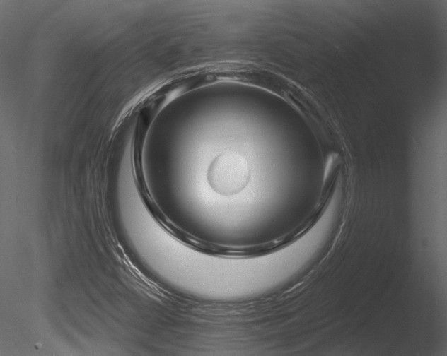 X0000085821402200703161210